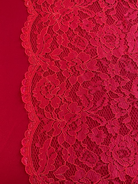 Red scallop corded lace $38.99/m 140 cm wide - Gardams Fabrics